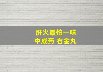 肝火最怕一味中成药 右金丸